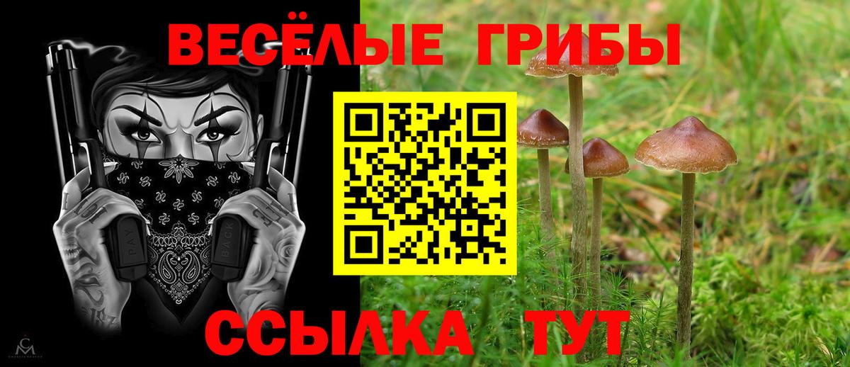Ахтубинск  Галлюциногенные грибы Psilocybe  Вход с VPN  Галлюциногенные грибы Magic Shrooms 